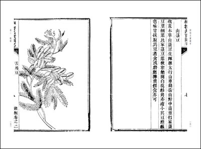 “BJL平台”2018年6月开始，这五类村民将会被禁止盖房！