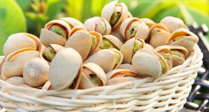 11月13日花生产区行情：近期价格偏弱，交易清淡【BJL平台集团】