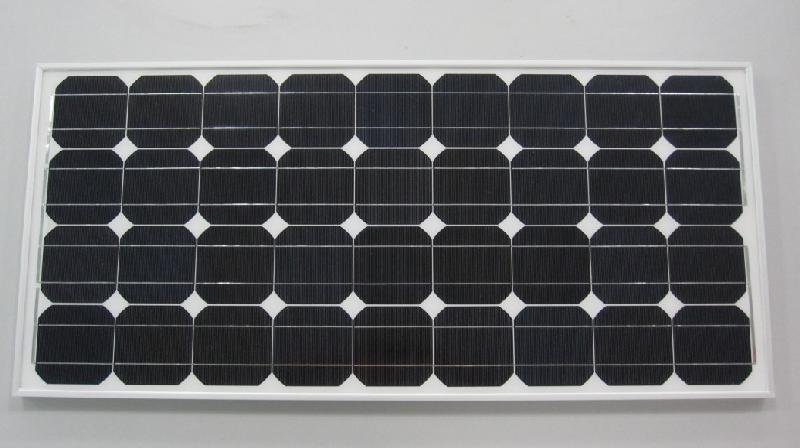 ‘BJL平台集团’桉树价格要多少钱一棵？桉树有哪些价值？