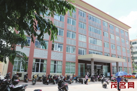 【BJL平台】野鸡“触网”飞出山沟变“凤凰”