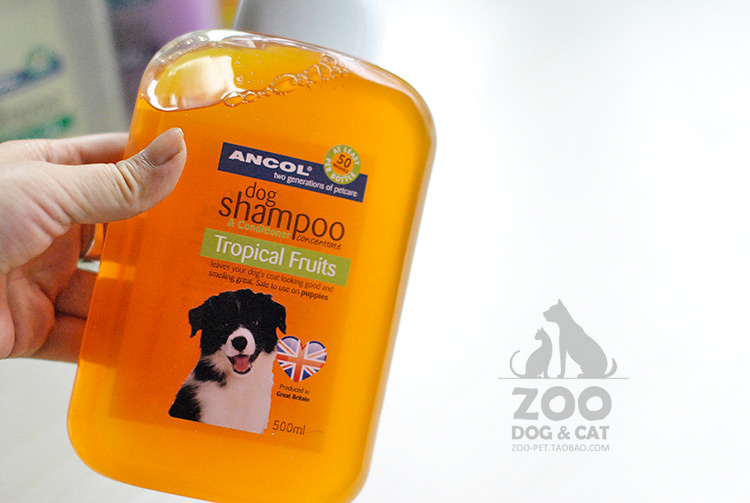 
全国农业野生植物资源使用技术培训班在苍溪举行：BJL平台集团