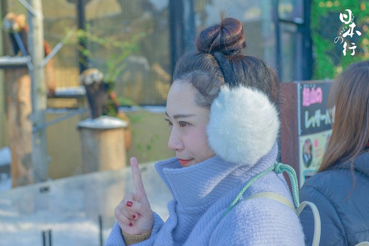 中国篮协关于公开招募2018中国小篮球联赛大区训练营执行商的函-BJL平台(图1) BJL平台