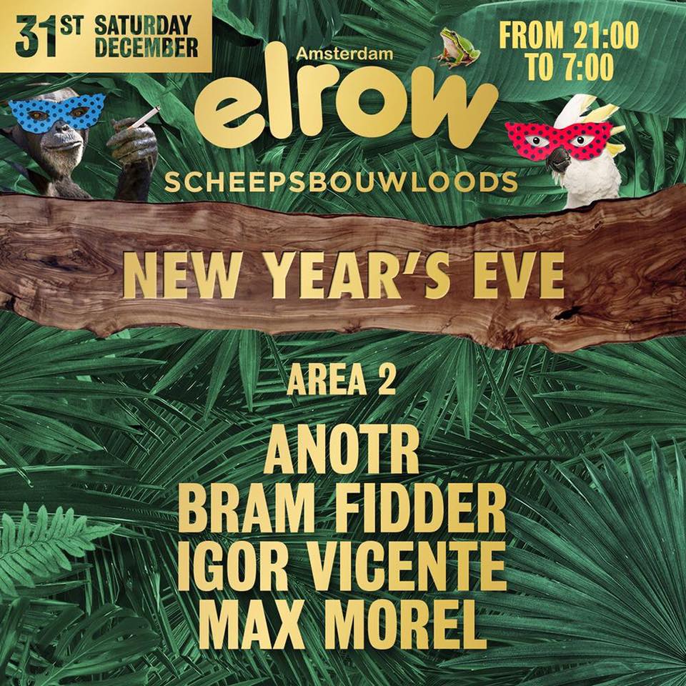 【BJL平台】水仙花价格多少钱一棵？水仙花的养殖方法和注意事项