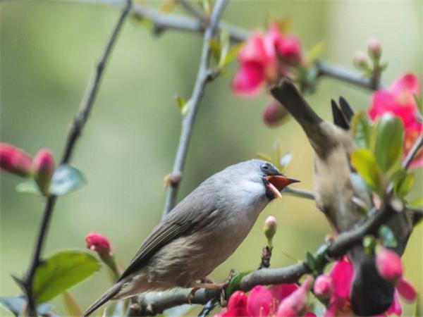 全国已建成高标准农田4338.5万亩 今年任务完成过半-BJL平台集团(图3) BJL平台