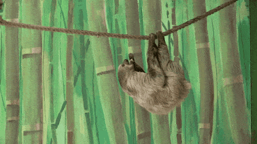 搞笑GIF段子:论辅助角色的重要性“BJL平台集团”(图9)
搞笑GIF段子:论辅助角色的重要性“BJL平台集团”(图9)