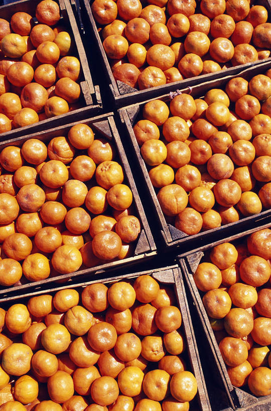 “BJL平台”富兰克林22+8王哲林22分 福建客场负山西6连败(图1) BJL平台