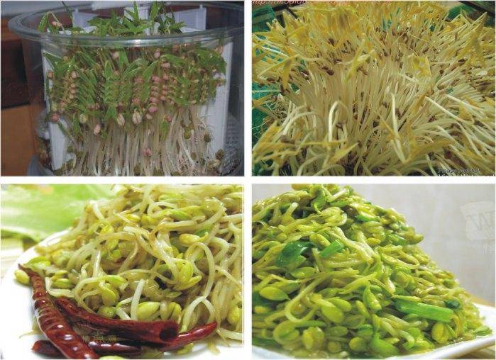 中行“原油宝”诉讼新进展:部分投资者或将采取集体诉讼“BJL平台”(图1) BJL平台集团