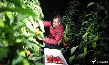 克制!饭菜浪费也要入法吗?-BJL平台集团(图4) BJL平台集团