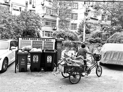 砂糖桔多少钱一斤?2019年1月9日全国最新砂糖桔价格行情‘BJL平台’(图3) BJL平台集团