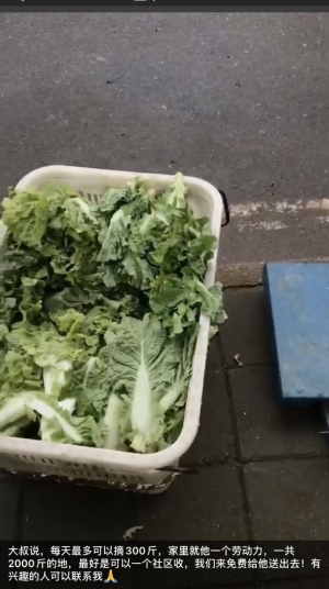 BJL平台|750ml12度干红葡萄酒近期价格行情(图2) BJL平台集团