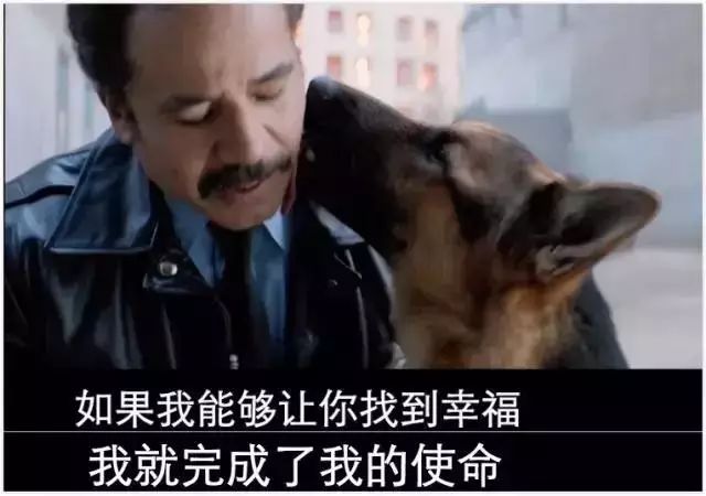 【BJL平台】
新人如何做好头条、企鹅、百家号?我总结出这几点(图1) BJL平台集团