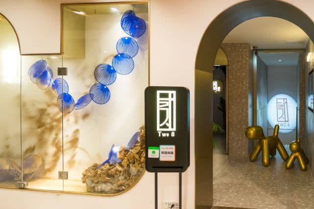 现在养兔子哪些品种最受欢迎?推荐7个优良品种给大家!‘BJL平台’(图2) BJL平台