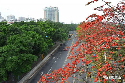 BJL平台集团-亚当斯准三双携四人上双 新疆轻取浙江获四连胜(图4) BJL平台集团