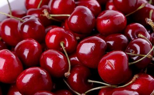 BJL平台集团|
熬过2020的餐饮人 2021路在何方?(图3) BJL平台