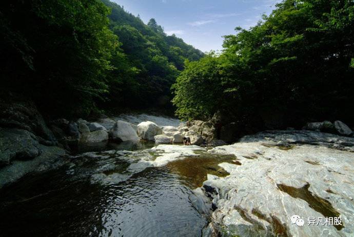 【BJL平台集团】【行情资讯】供应仍大，豆粕行情起伏不定？农民们该如何选择种植规