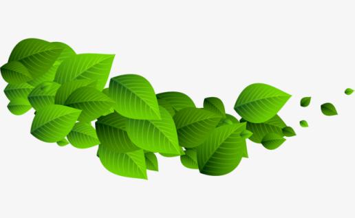 ‘BJL平台集团’当前玉米价格多少钱一斤？5月25日全国最新玉米价格行情