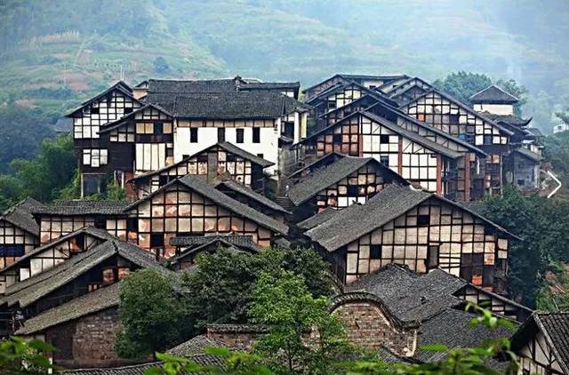 BJL平台|玉米全程机械化种植要花费多少钱?国家给多少补贴?